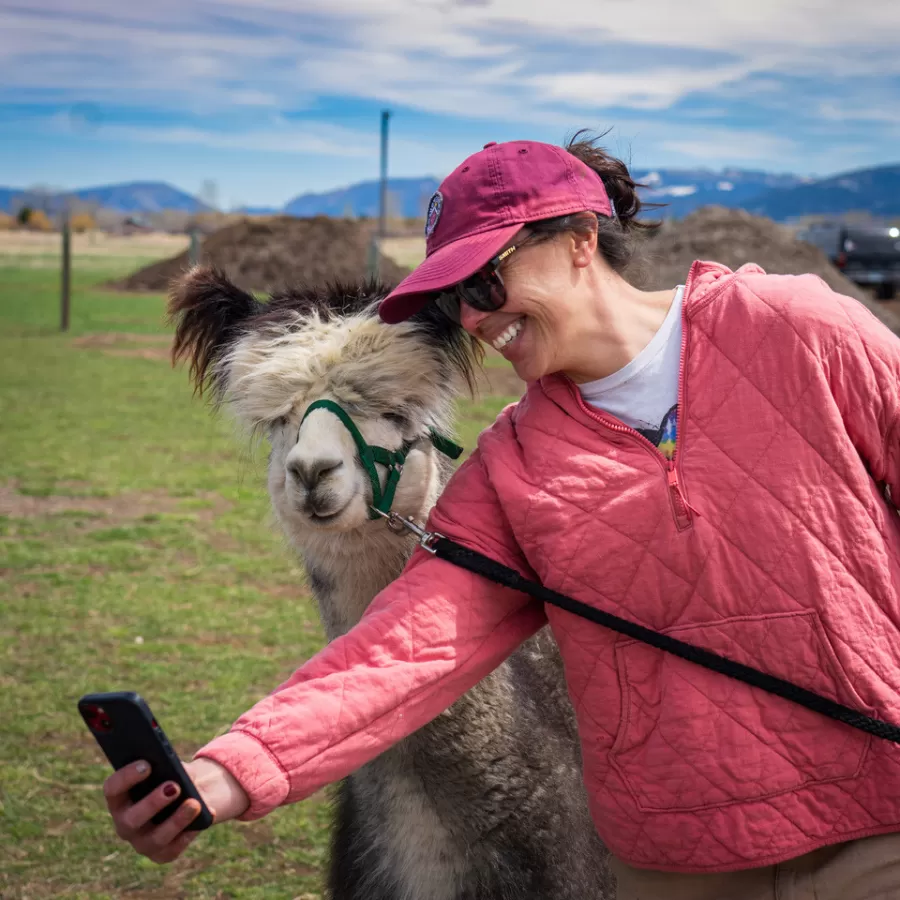 Alpaca & Llama Farm Tour Experience