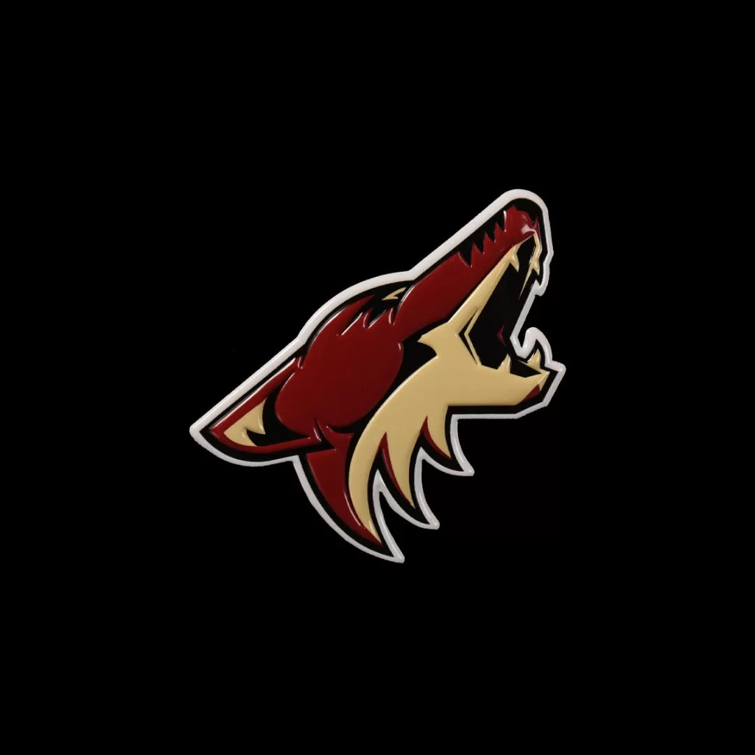 Arizona Coyotes Ascent Insignia Core