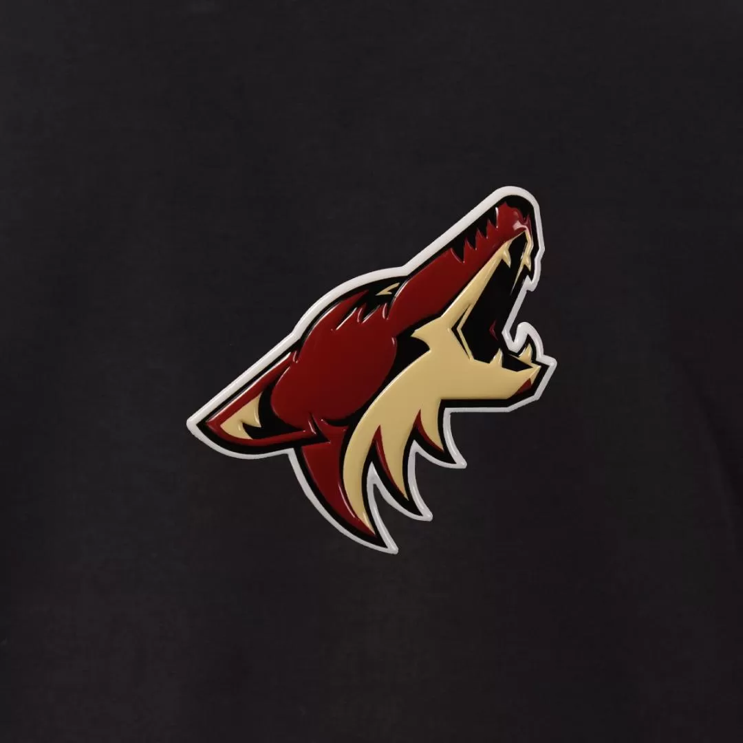 Arizona Coyotes Recruit Insignia Core