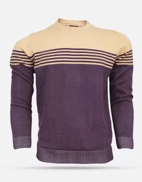 Men's Purple & Beige Stripes Round Neck Sweater