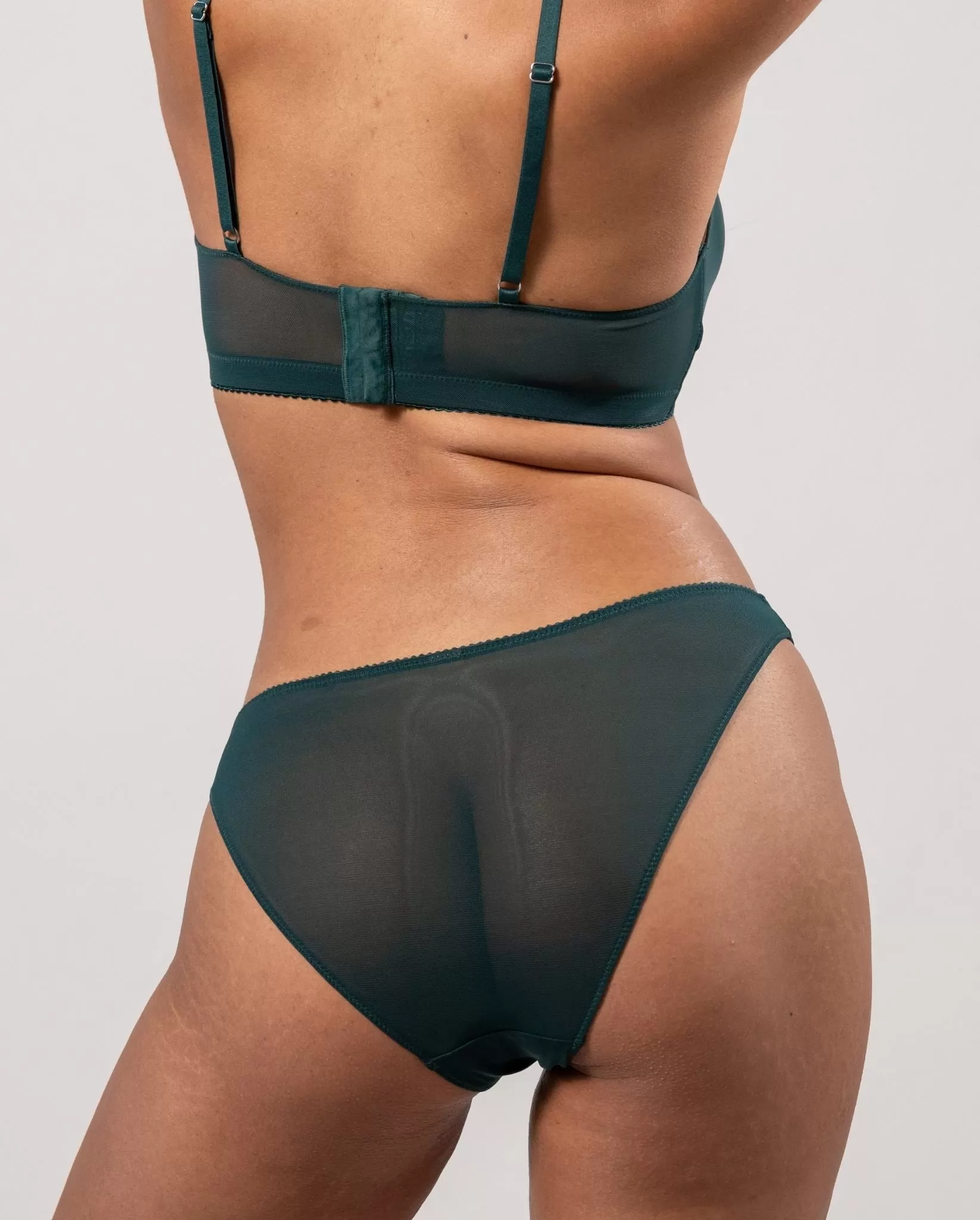 Mesh Bikini Briefs Pine