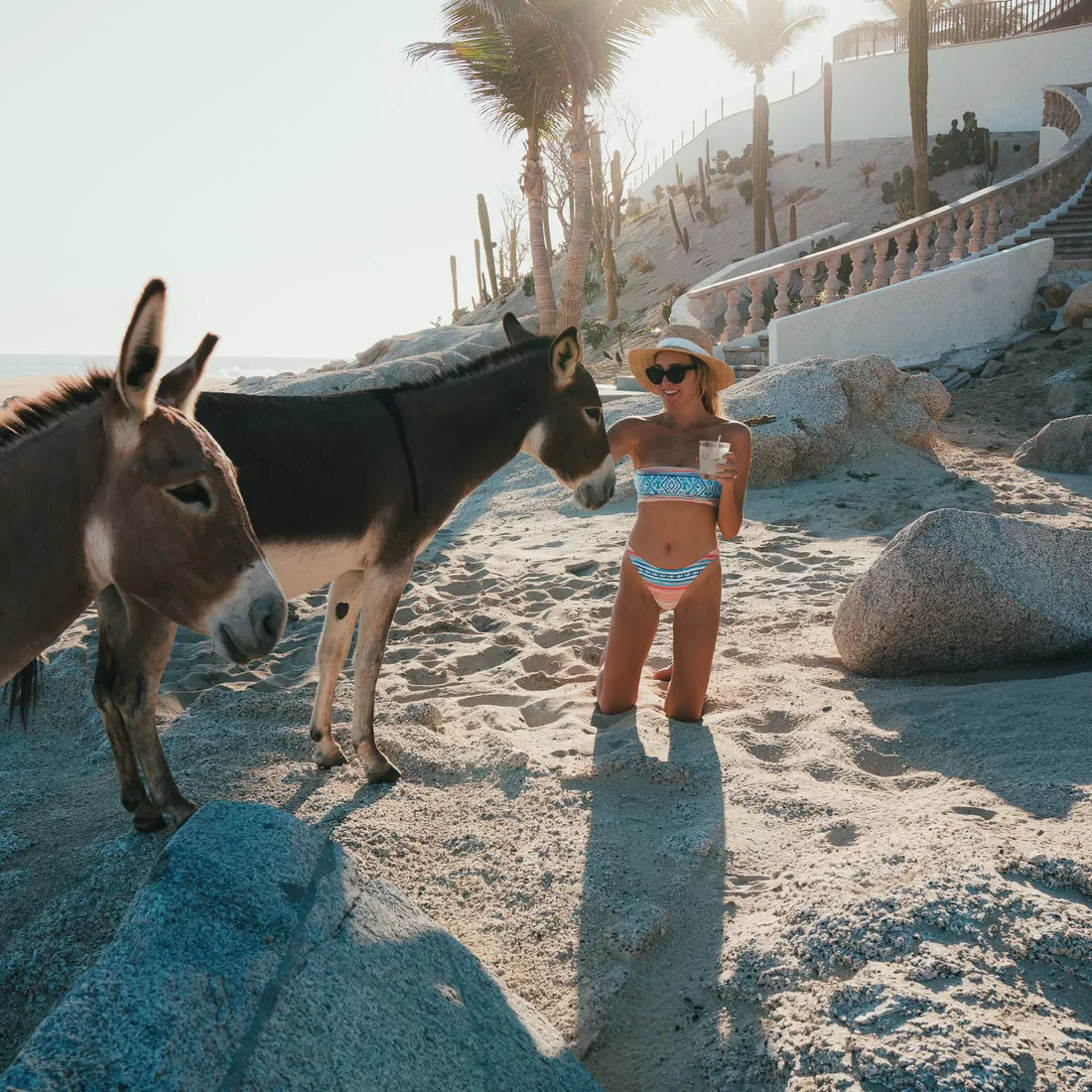 The Palmilla - Bandeau Bikini Top